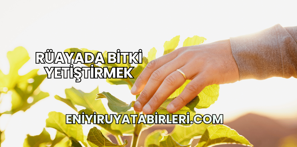 Rüayada Bitki Yetiştirmek