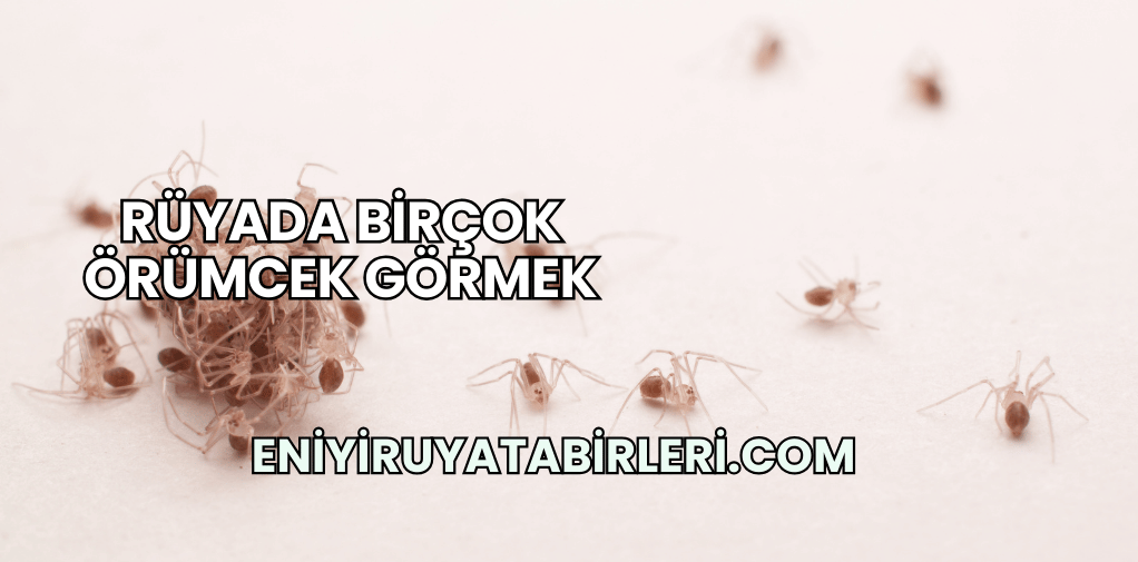 Rüyada Birçok Örümcek Görmek
