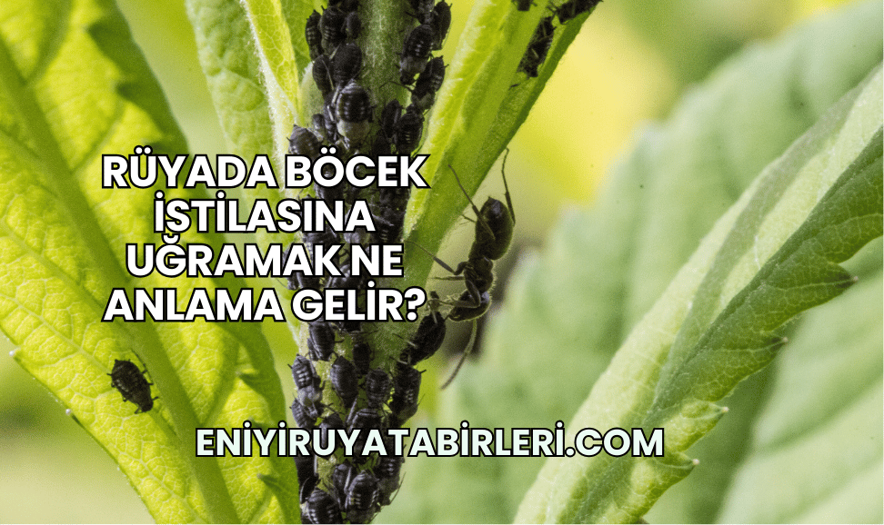 Rüyada Böcek İstilasına Uğramak Ne Anlama Gelir?