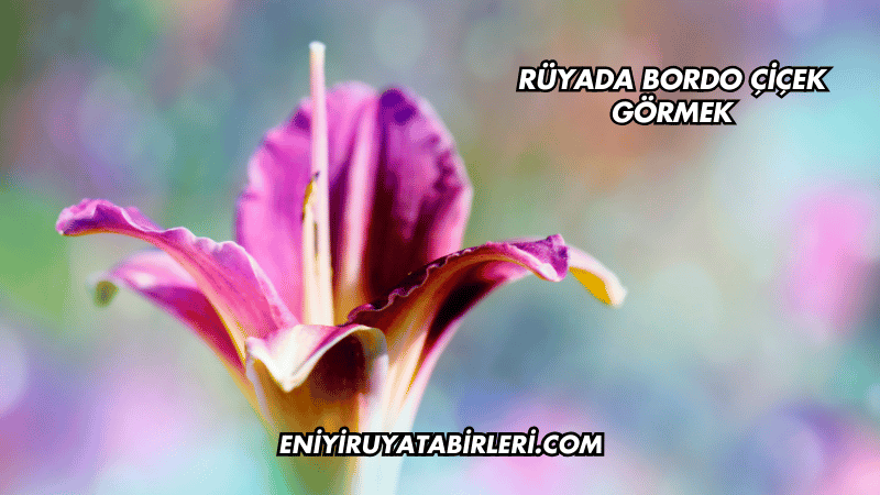 Rüyada Bordo Çiçek Görmek