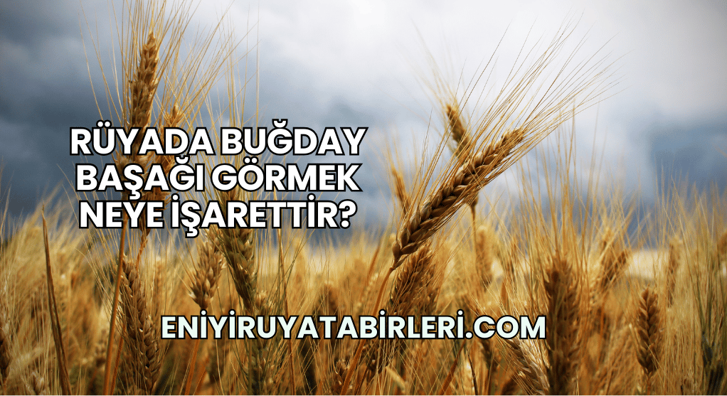 Rüyada Buğday Başağı Görmek Neye İşarettir?