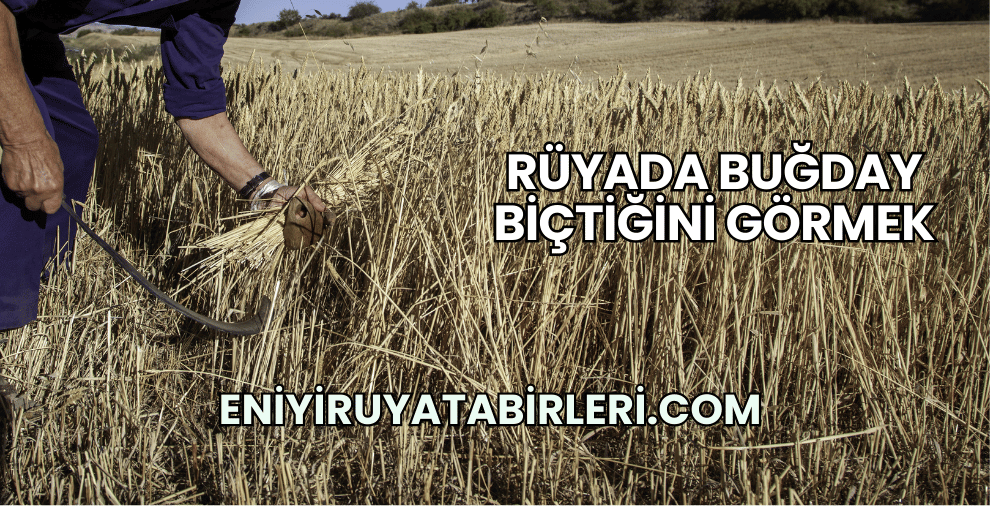 Rüyada Buğday Biçtiğini Görmek