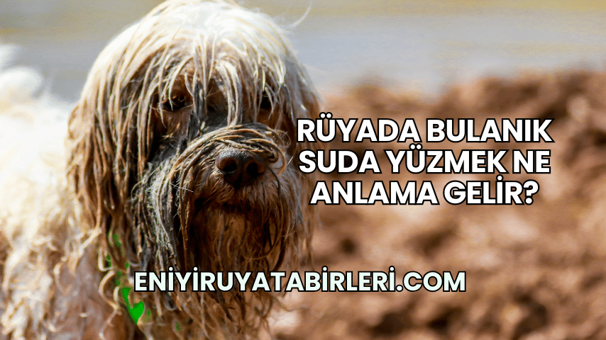 Rüyada Bulanık Suda Yüzmek Ne Anlama Gelir?