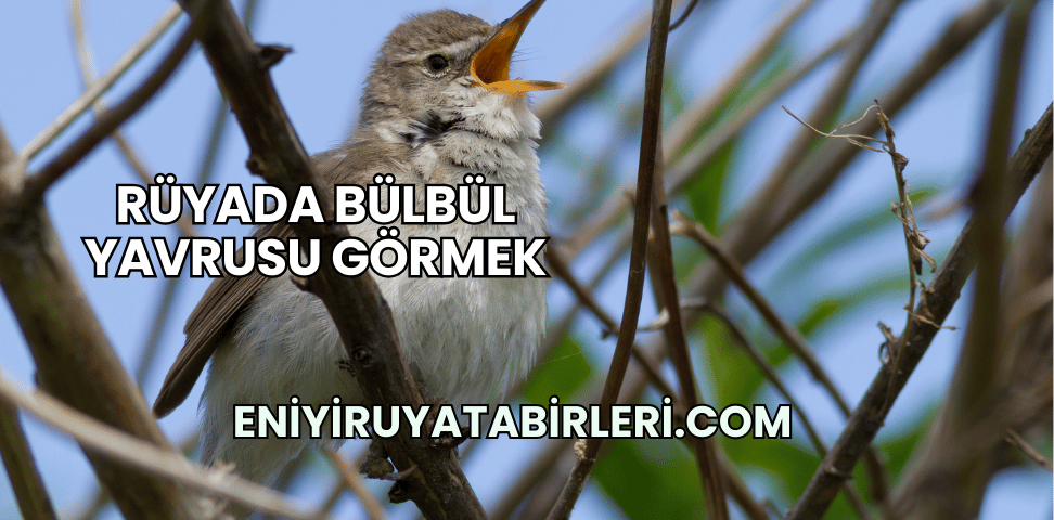 Rüyada Bülbül Yavrusu Görmek