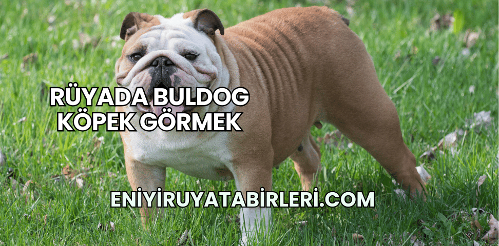 Rüyada Buldog Köpek Görmek