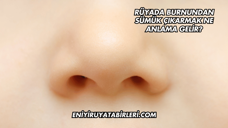 Rüyada Burnundan Sümük Çıkarmak Ne Anlama Gelir?