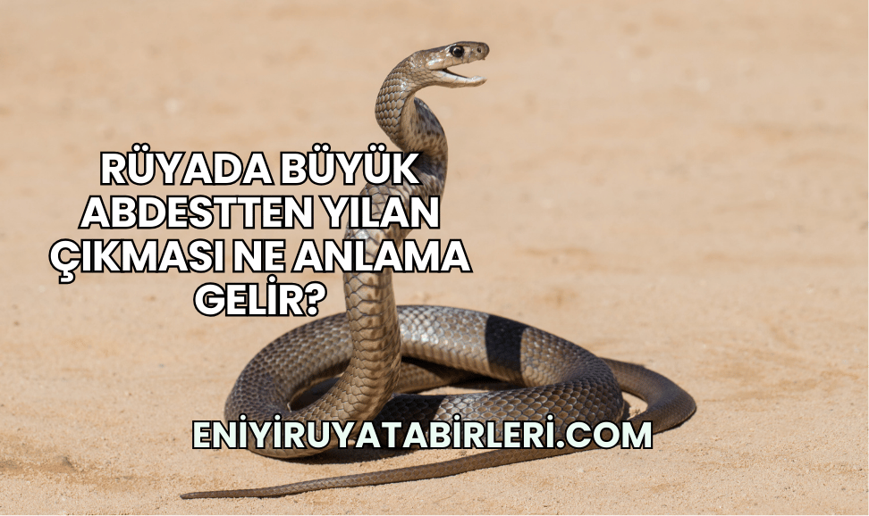 Rüyada Büyük Abdestten Yılan Çıkması Ne Anlama Gelir?