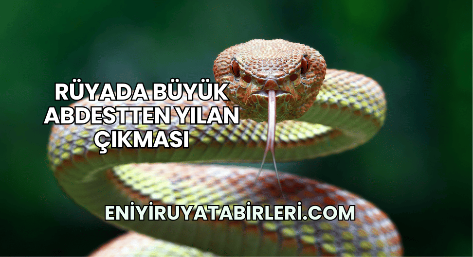 Rüyada Büyük Abdestten Yılan Çıkması