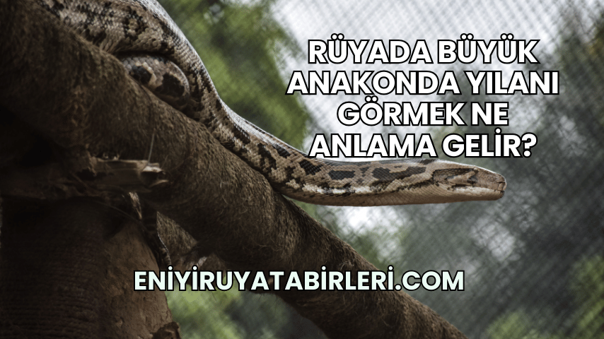 Rüyada Büyük Anakonda Yılanı Görmek Ne Anlama Gelir?