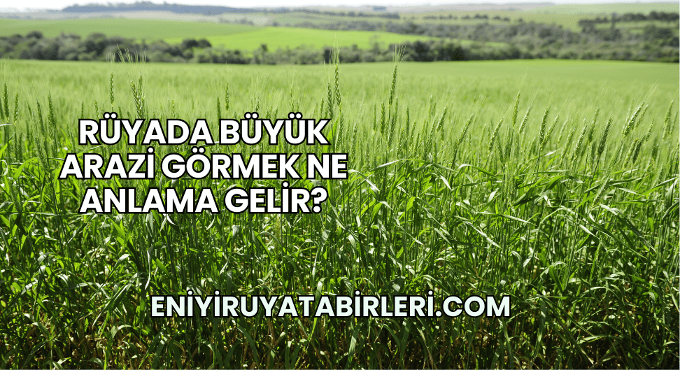 Rüyada Büyük Arazi Görmek Ne Anlama Gelir?
