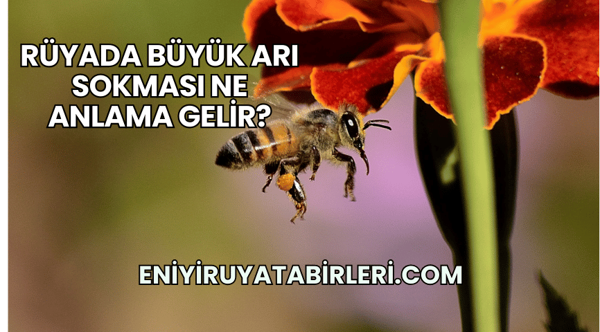 Rüyada Büyük Arı Sokması Ne Anlama Gelir?