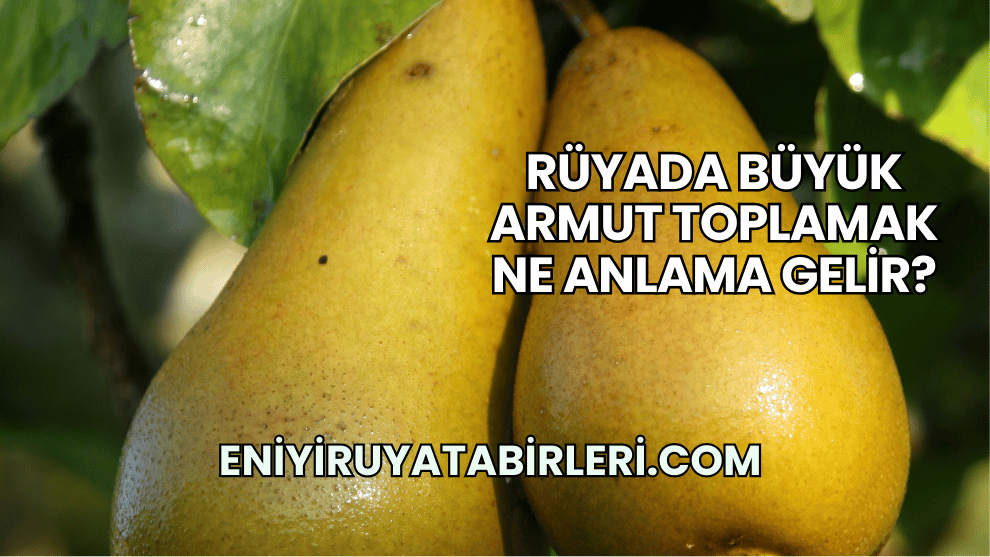 Rüyada Büyük Armut Toplamak Ne Anlama Gelir?