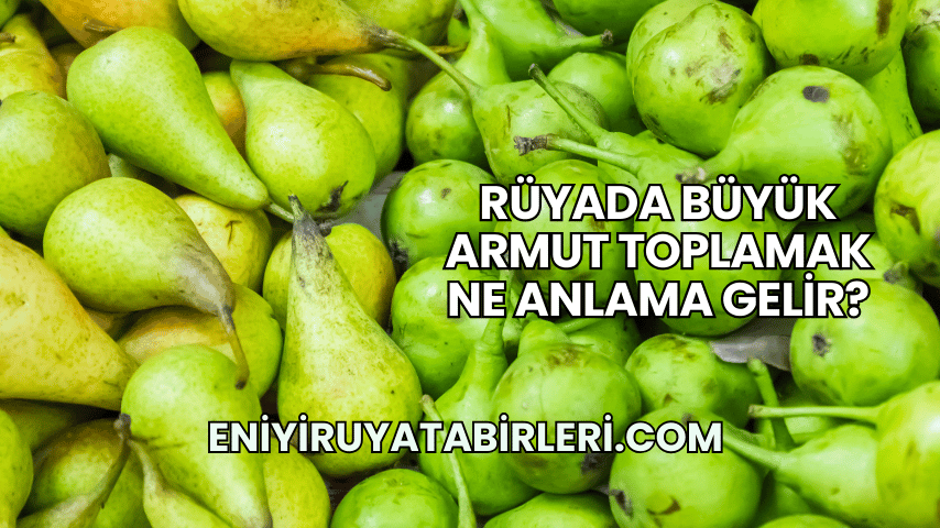 Rüyada Büyük Armut Toplamak Ne Anlama Gelir?