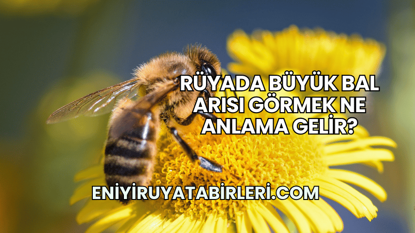 Rüyada Büyük Bal Arısı Görmek Ne Anlama Gelir?