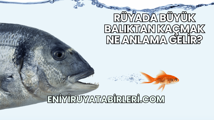 Rüyada Büyük Balıktan Kaçmak Ne Anlama Gelir?
