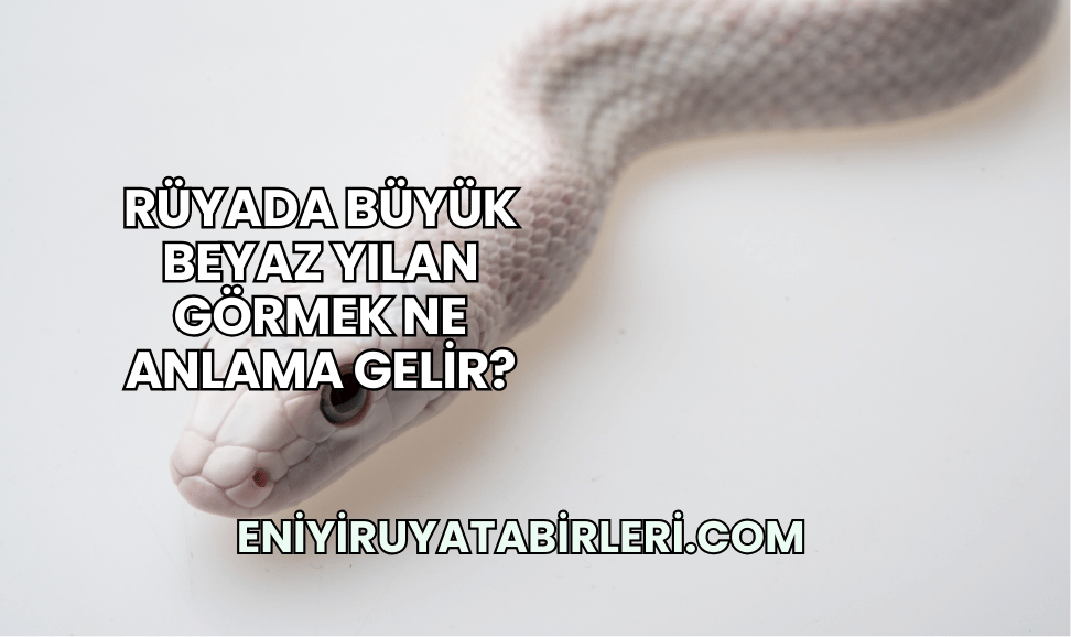 Rüyada Büyük Beyaz Yılan Görmek Ne Anlama Gelir?