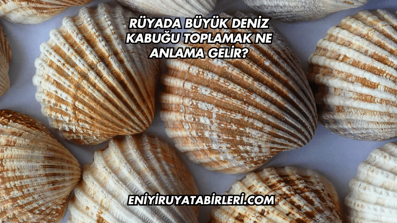Rüyada Büyük Deniz Kabuğu Toplamak Ne Anlama Gelir?