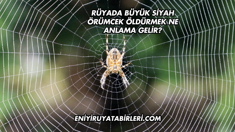 Rüyada Büyük Siyah Örümcek Öldürmek Ne Anlama Gelir?