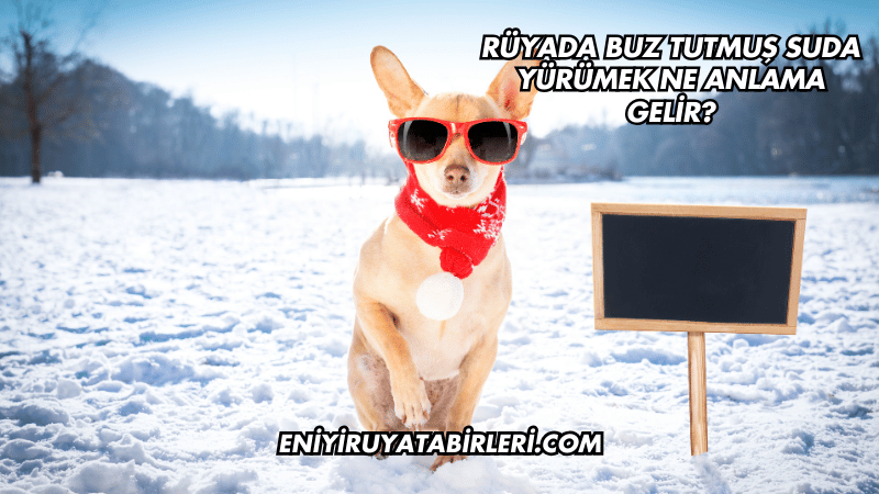 Rüyada Buz Tutmuş Suda Yürümek Ne Anlama Gelir?