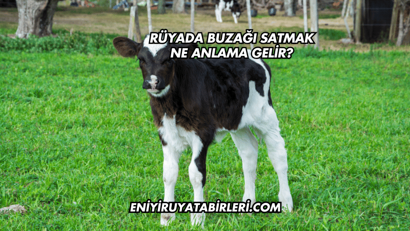 Rüyada Buzağı Satmak Ne Anlama Gelir?