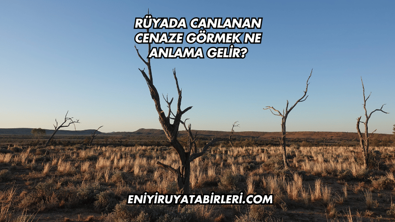 Rüyada Canlanan Cenaze Görmek Ne Anlama Gelir?