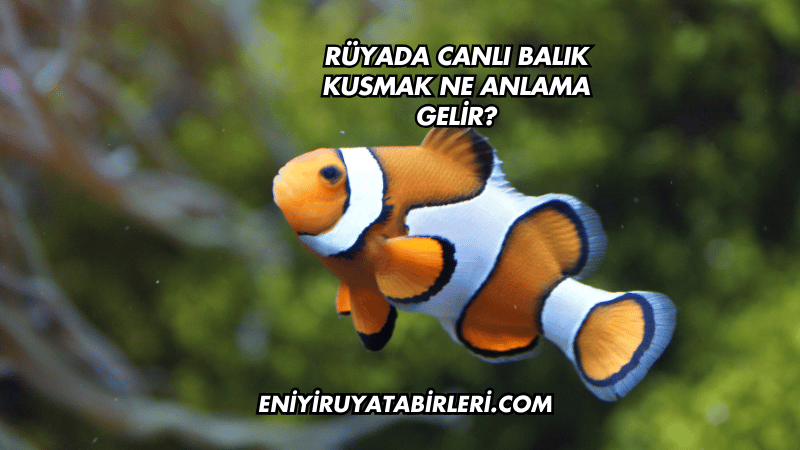 Rüyada Canlı Balık Kusmak Ne Anlama Gelir?