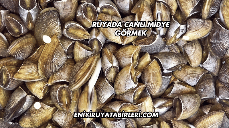 Rüyada Canlı Midye Görmek