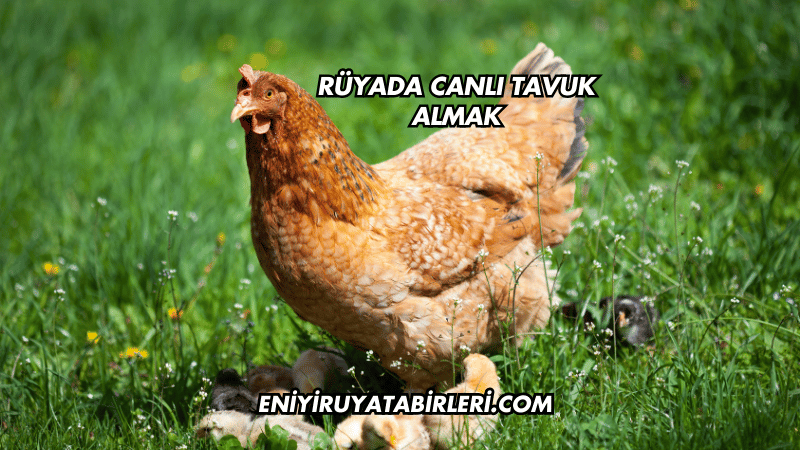 Rüyada Canlı Tavuk Almak