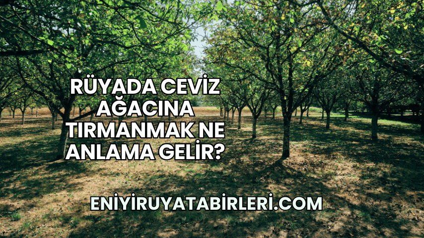 Rüyada Ceviz Ağacına Tırmanmak Ne Anlama Gelir?