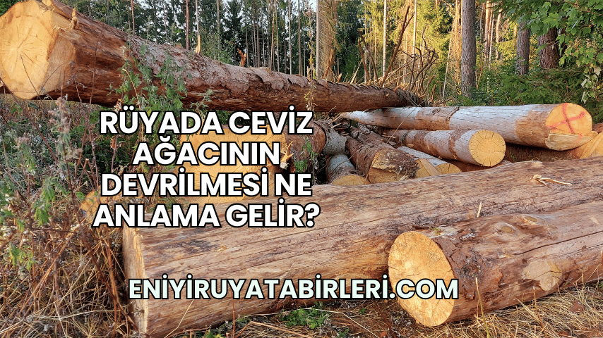 Rüyada Ceviz Ağacının Devrilmesi Ne Anlama Gelir?