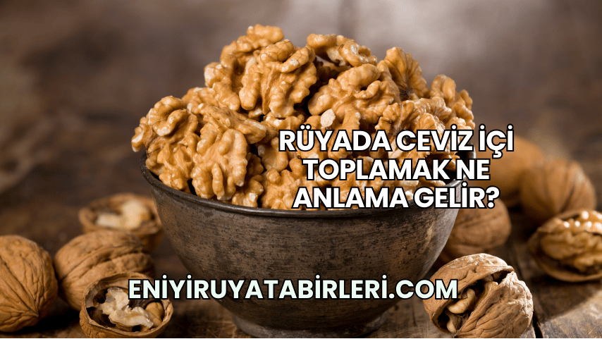 Rüyada Ceviz İçi Toplamak Ne Anlama Gelir?
