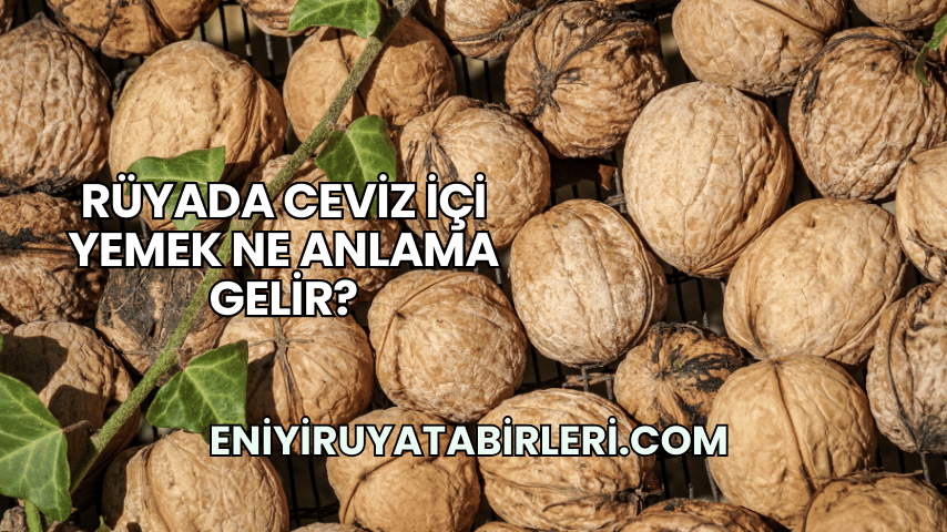 Rüyada Ceviz İçi Yemek Ne Anlama Gelir?