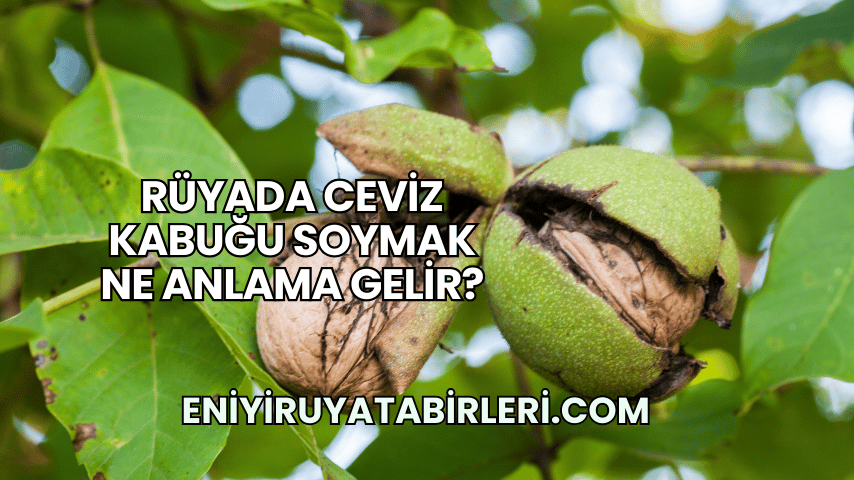 Rüyada Ceviz Kabuğu Soymak Ne Anlama Gelir?
