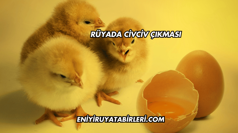 Rüyada Civciv Çıkması