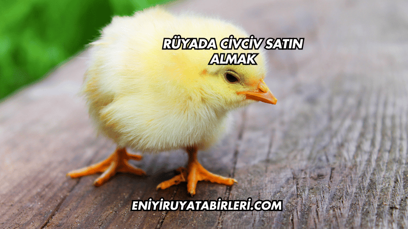 Rüyada Civciv Satın Almak