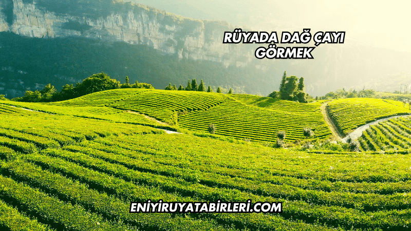 Rüyada Dağ Çayı Görmek
