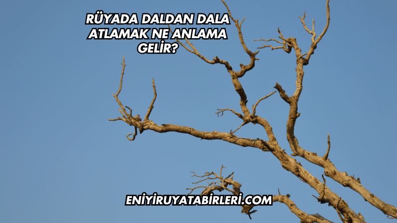 Rüyada Daldan Dala Atlamak Ne Anlama Gelir?