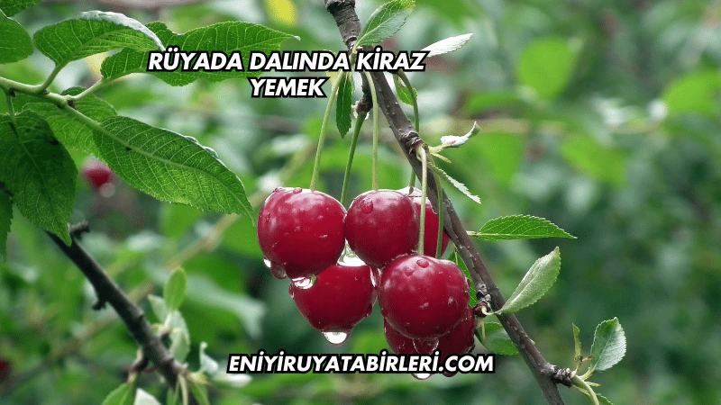 Rüyada Dalında Kiraz Yemek
