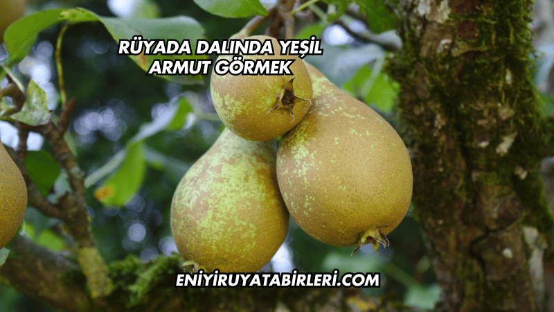 Rüyada Dalında Yeşil Armut Görmek