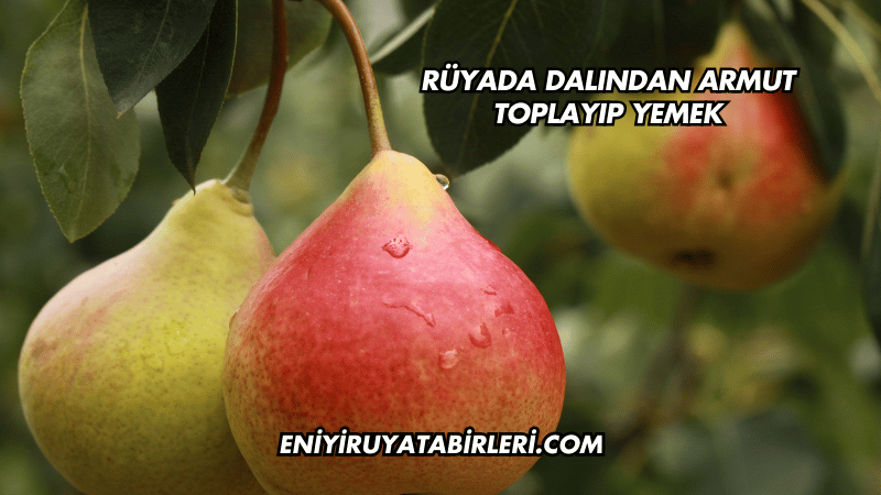 Rüyada Dalından Armut Toplayıp Yemek