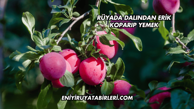 Rüyada Dalından Erik Koparıp Yemek