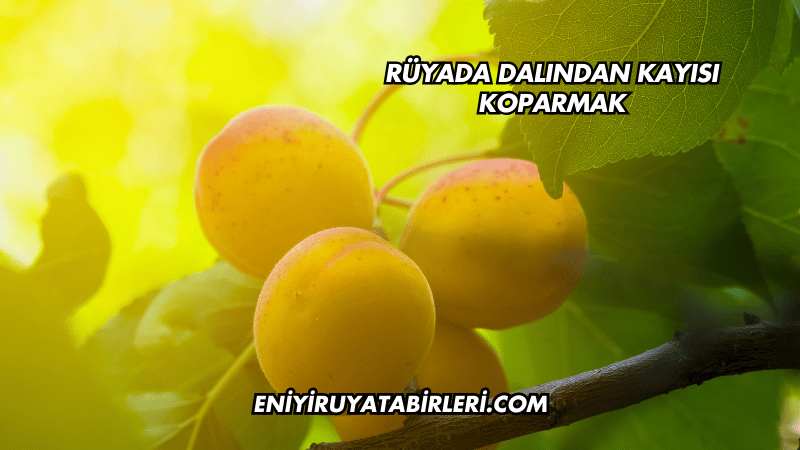 Rüyada Dalından Kayısı Koparmak
