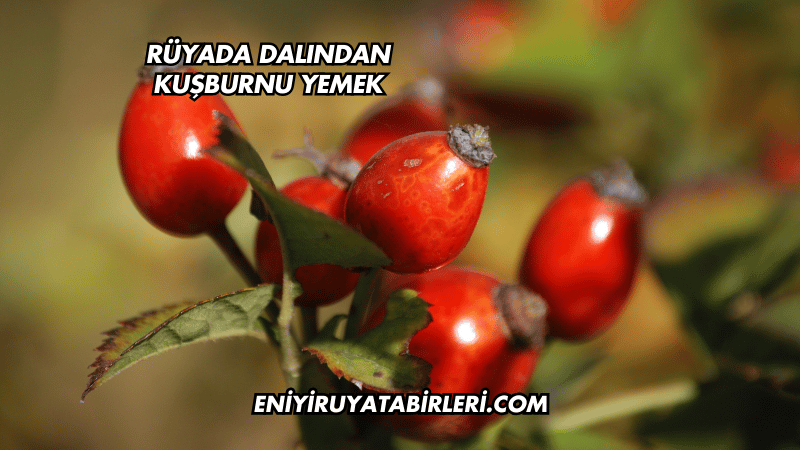Rüyada Dalından Kuşburnu Yemek