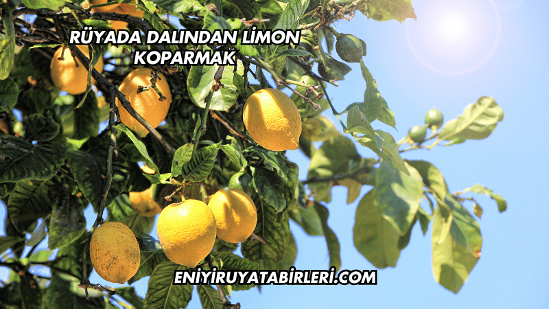 Rüyada Dalından Limon Koparmak