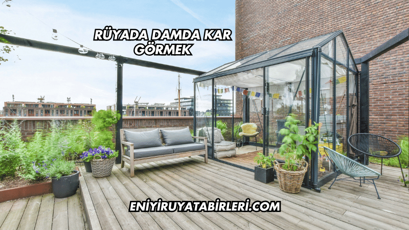 Rüyada Damda Kar Görmek