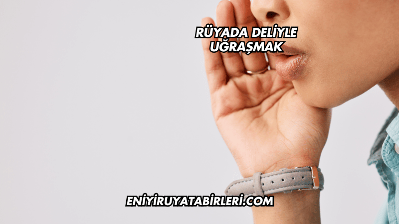 Rüyada Deliyle Uğraşmak