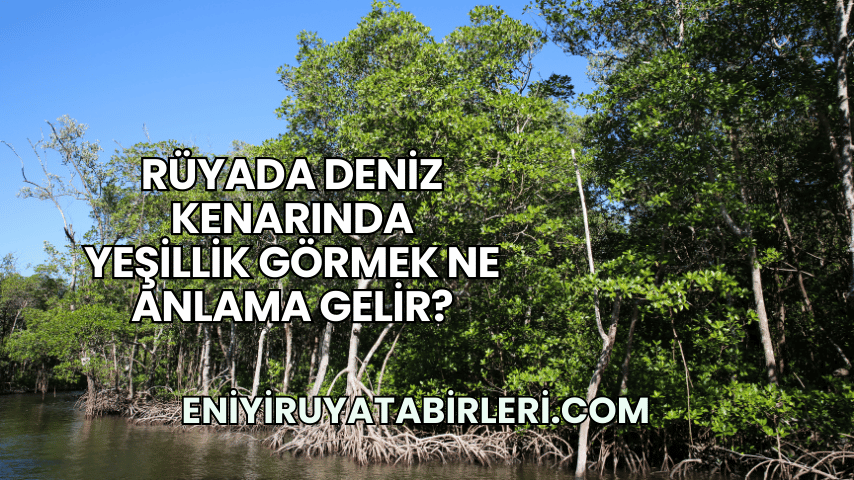 Rüyada Deniz Kenarında Yeşillik Görmek Ne Anlama Gelir?
