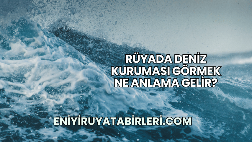 Rüyada Deniz Kuruması Görmek Ne Anlama Gelir?