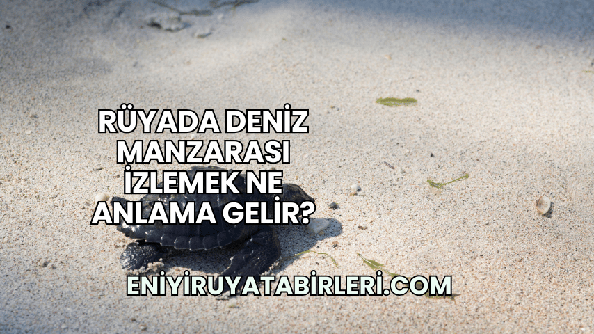 Rüyada Deniz Manzarası İzlemek Ne Anlama Gelir?