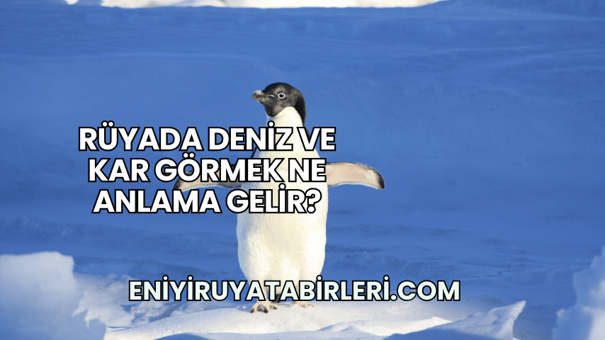 Rüyada Deniz ve Kar Görmek ne Anlama Gelir?
